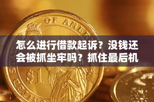 济南怎么进行借款起诉？没钱还会被抓坐牢吗？抓住最后机会！