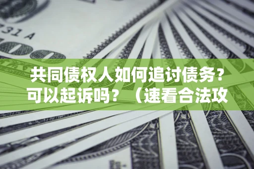 济南共同债权人如何追讨债务？可以起诉吗？（速看合法攻略）