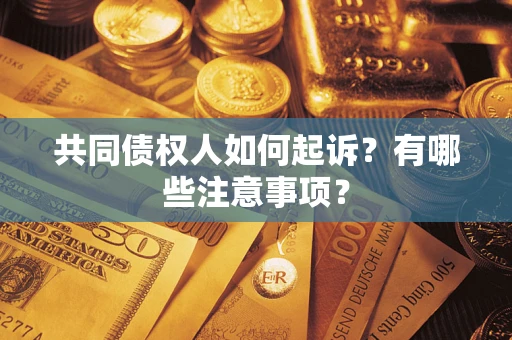 济南共同债权人如何起诉？有哪些注意事项？